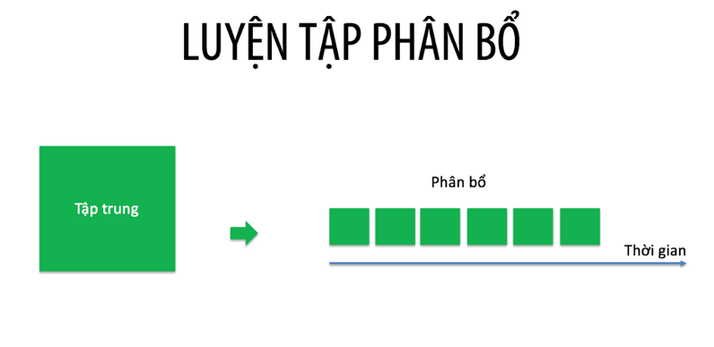 luyện tập phân bổ 