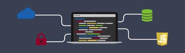 học lập trình web hay ứng dụng di động