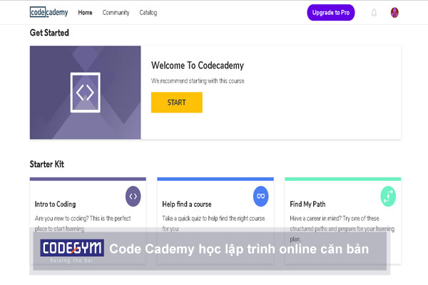 Code cademy là một khóa học lập trình web căn bản cho những lập trình viên mới
