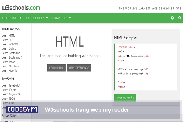 cách học lập trình online