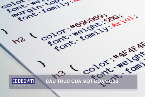 Lập Trình Web Viết Về CSS