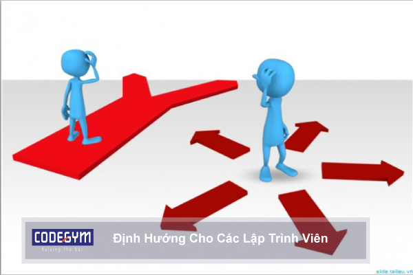 Lập trình viên(Developer) được hiểu là những kỹ sư phần mềm, người sẽ sử dụng các ngôn ngữ lập trình web khác nhau để thiết kế, xây dựng và bảo trì các chương trình máy tính. Có thể ví lập trình viên như một “nhạc trưởng”, người chỉ huy dàn nhạc (các đoạn mã lập trình) để sáng tạo ra một bản nhạc hoàn hảo (phần mềm máy tính).
