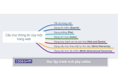 Tìm hiểu về nghề lập trình: Cơ hội và thách thức