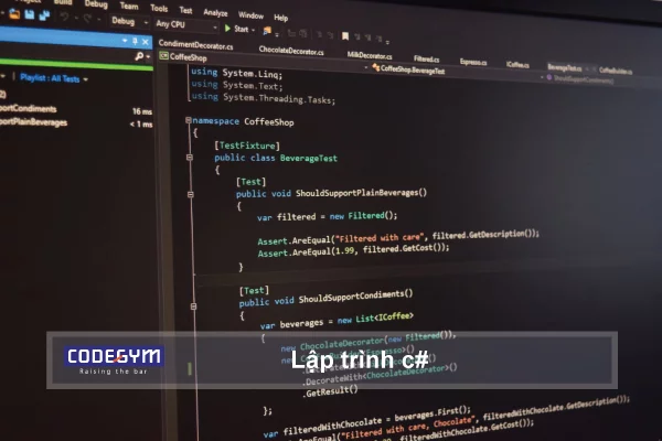 Lập trình c# là gì?