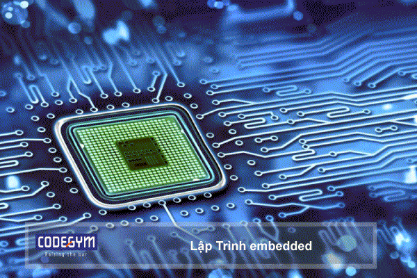 lập trình viên viết các chương trình chạy trên các thiết bị điện tử như tivi, tủ lạnh, máy giặt vv..