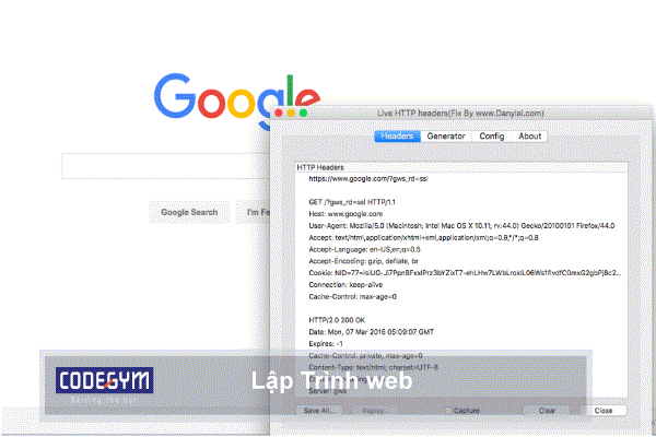 lập trình viên viết nhiều ngôn ngữ có thể dùng lập trình web được, thoải mái chọn: PHP, JAVA, NODE, RUBY, vv.