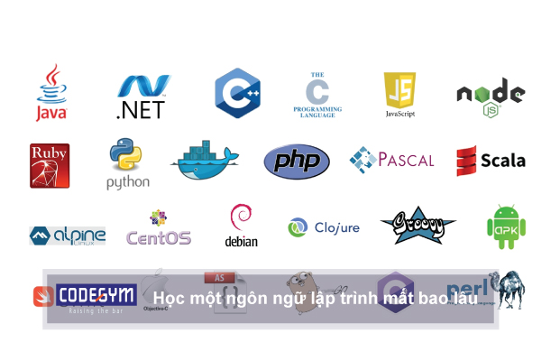 Có bao nhiêu ngôn ngữ lập trình hiện nay?