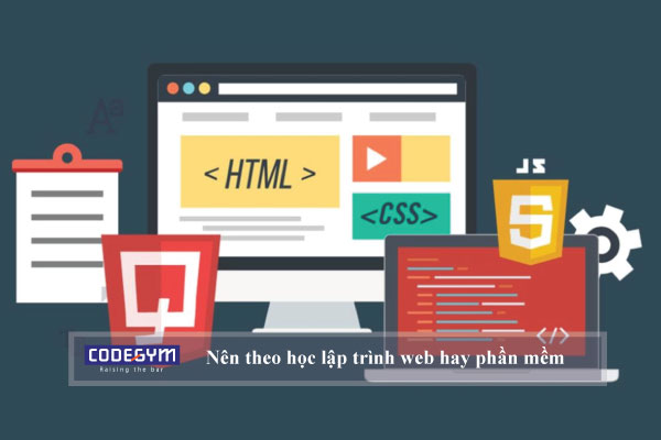 Nên theo học lập trình web hay phần mềm dễ hơn