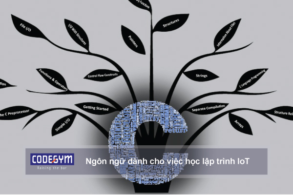 Những ngôn ngữ dành cho việc học lập trình IoT