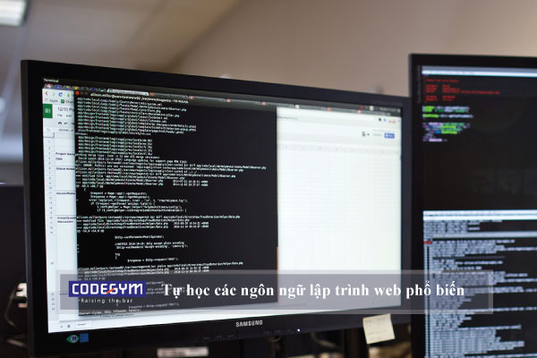 Cách tự học các ngôn ngữ lập trình web phổ biến hiện nay