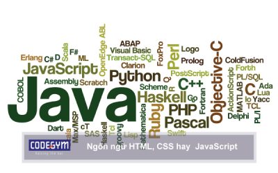 Ứng dụng của Python trong phân tích dữ liệu