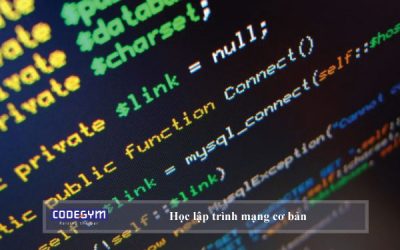 Những kiến thức về học lập trình mạng cơ bản bạn cần biết