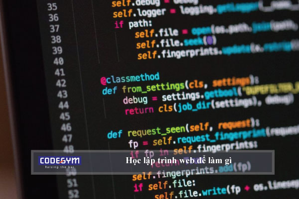 Học lập trình web để làm gì