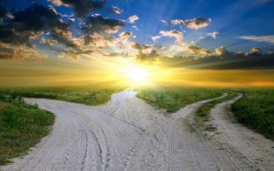 Con đường phát triển cho lập trình viên – CodeGym Day 2019