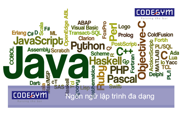Học lập trình nên học ngôn ngữ nào