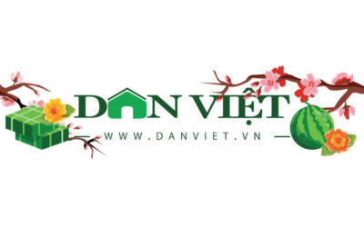 CodeGym Việt Nam cam kết 100% học viên ra trường có việc làm