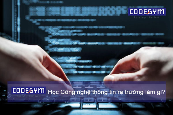 Học công nghệ thông tin ra trường làm gì