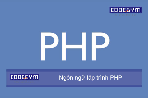 Nên học lập trình web hay ứng dụng di động