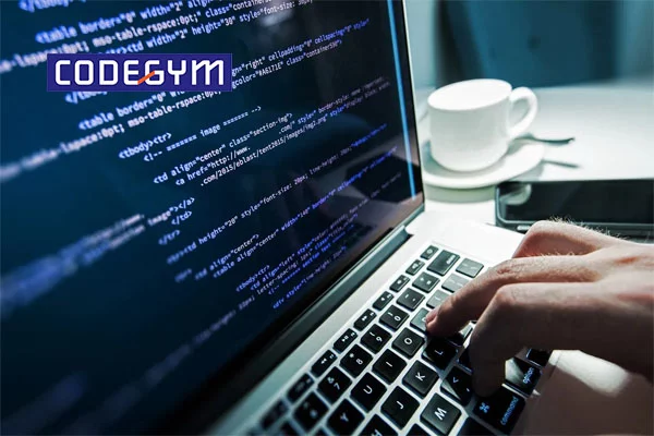 Công việc của lập trình viên hàng ngày