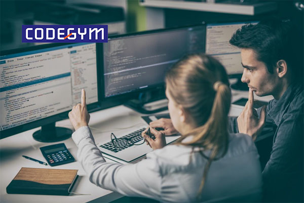 Lập trình viên là gì? Lập trình viên làm những công việc gì?