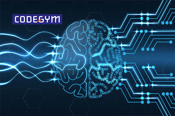 Lập trình viên là gì? Lập trình viên làm những công việc gì?