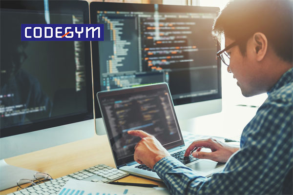 Lập trình viên là gì? Lập trình viên làm những công việc gì?
