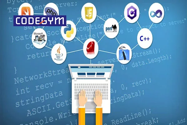Muốn làm lập trình viên học ngành gì? Đặc điểm của nghề lập trình viên 