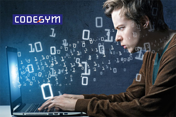 Ngành lập trình viên là gì? Học lập trình viên nên bắt đầu từ đâu?