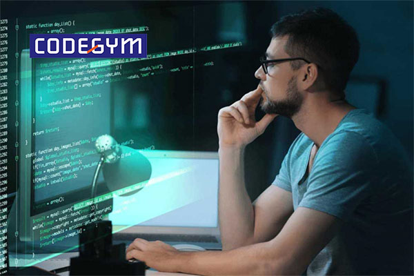 Ngành lập trình viên là gì? Học lập trình viên nên bắt đầu từ đâu?