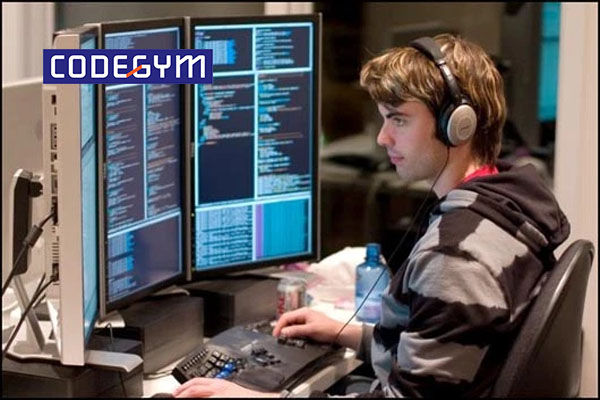 Ngành lập trình viên là gì? Học lập trình viên nên bắt đầu từ đâu?