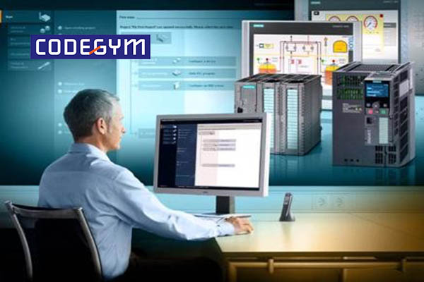 co-nen-hoc-lap-trinh-vien-khong-4