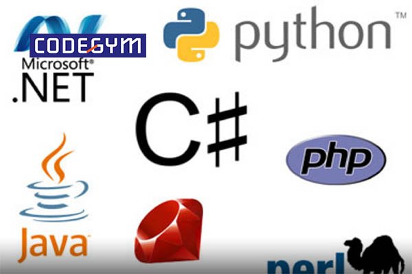 lap-trinh-vien-can-hoc-nhung-gi-4