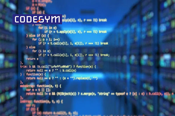 Lập trình viên là gì? Nghề lập trình viên tiếng Anh là gì?