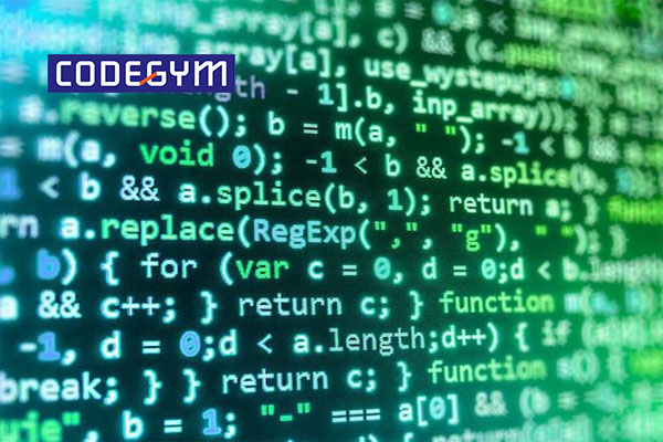 Lập trình viên là gì? Nghề lập trình viên tiếng Anh là gì?