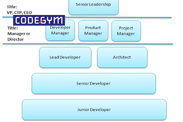 lập trình viên làm việc ở đâu