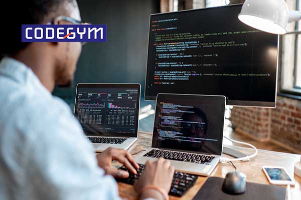 lap-trinh-vien-nen-dung-laptop-hay-pc-1-1