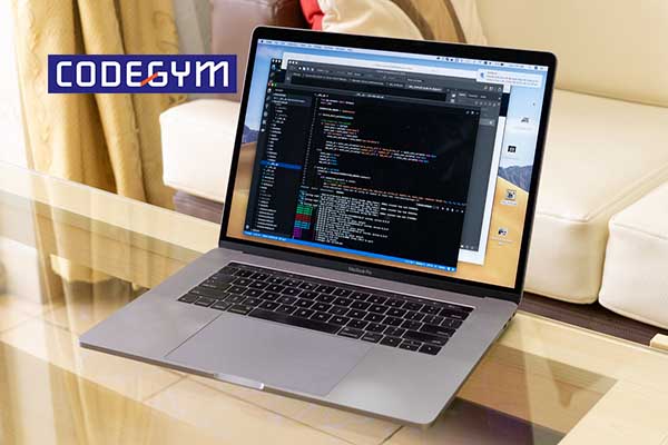 lap-trinh-vien-nen-dung-laptop-hay-pc-2