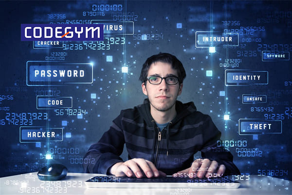 lập trình viên nên học ngành nào