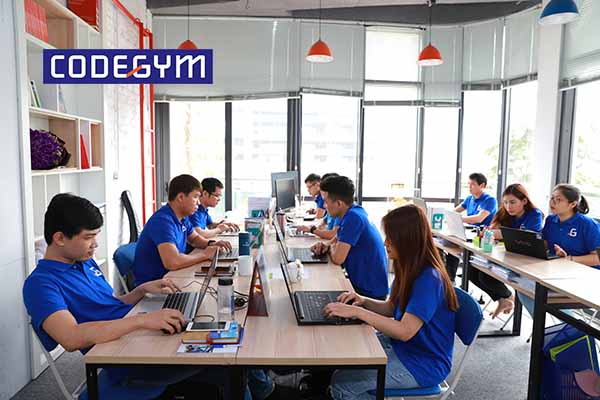 lap-trinh-vien-ra-truong-lam-gi-9