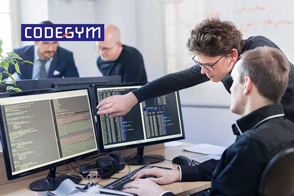 lap-trinh-vien-tieng-anh-la-gi-1