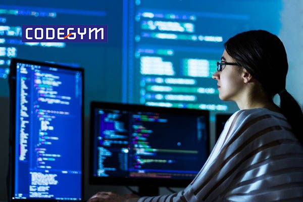 lap-trinh-vien-tieng-anh-la-gi-7