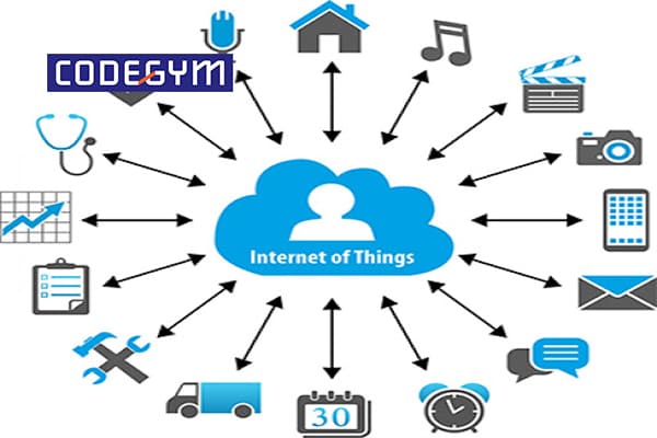 ngành công nghệ thông tin gồm những môn nào
