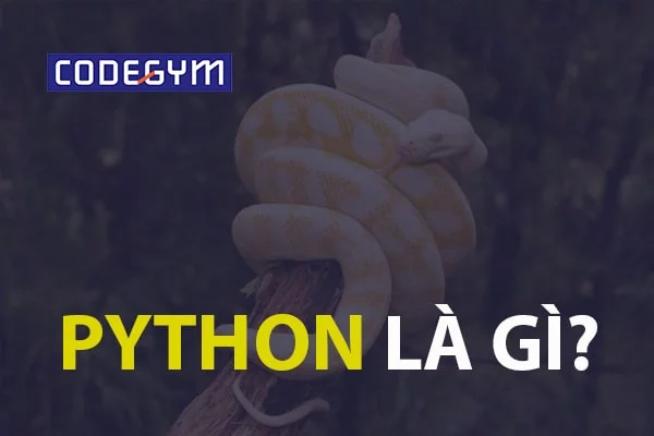 Python là gì?