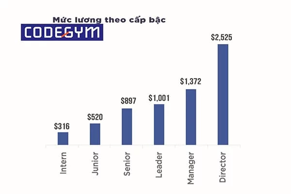 lương lập trình viên 1 năm kinh nghiệm