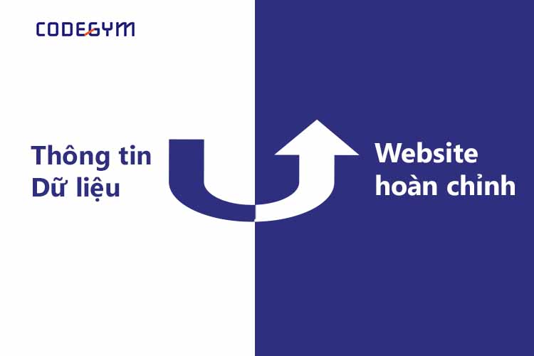 Lập trình web là gì