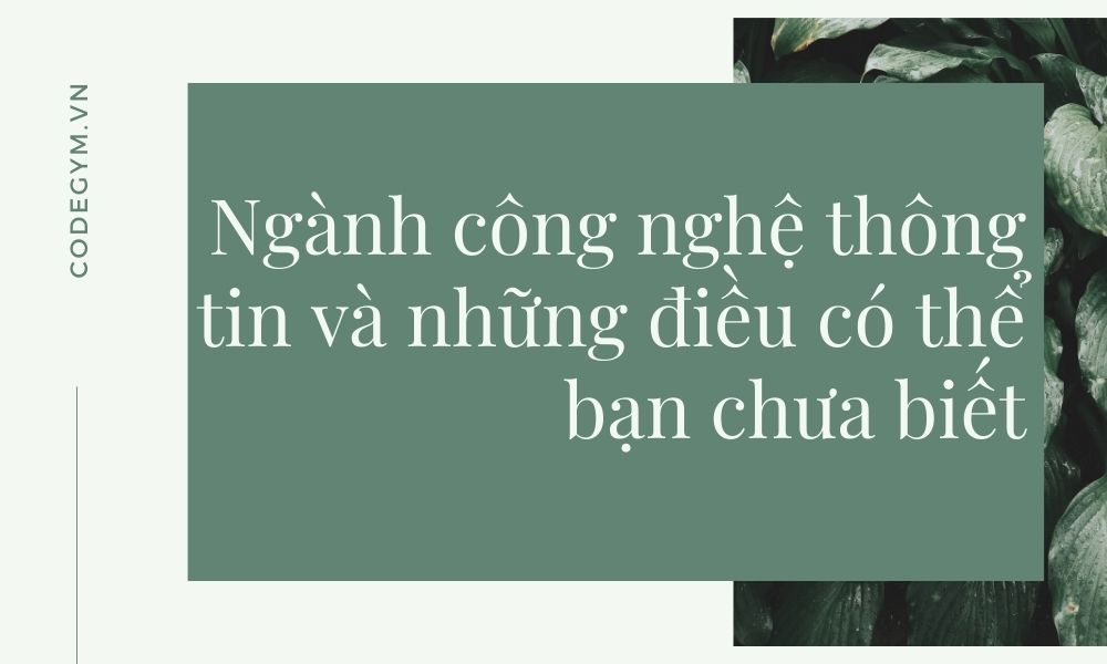 ngành công nghệ thông tin và những điều có thể bạn chưa biết