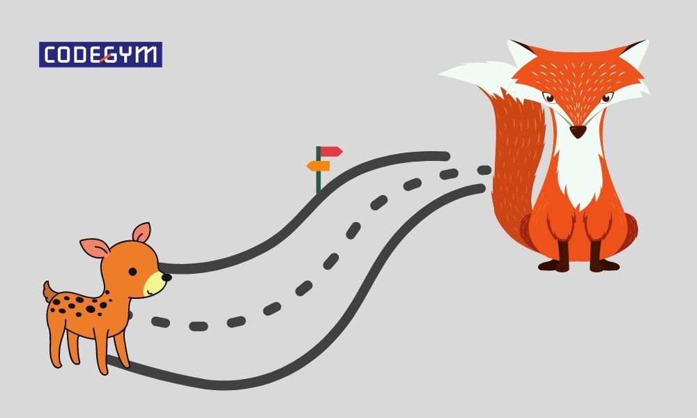 lo-trinh-phat-trien-cua-lap-trinh-vien