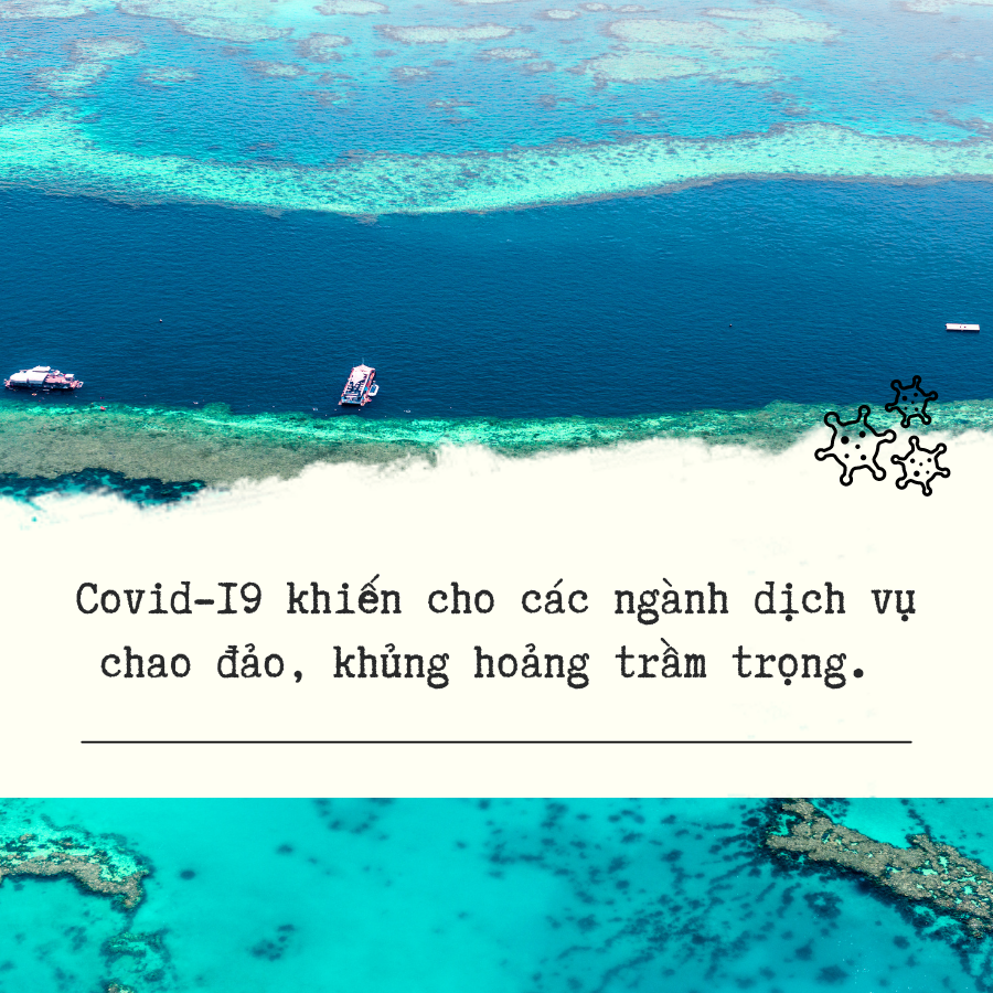 chuyển nghề lập trình