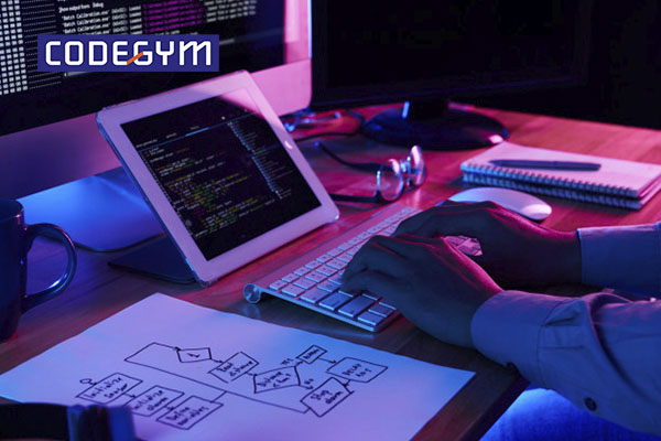 quy trình tự học lập trình cho người mới bắt đầu