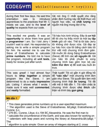 lập trình viên tiếng anh